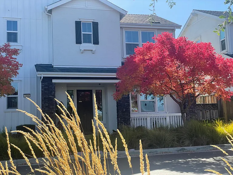 7304 Stags Leap Ln — Photo 2