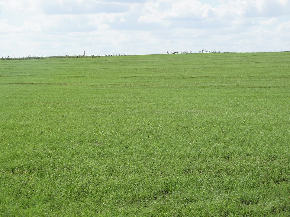 2nd image of Cr 455