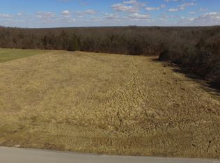 102 White Heron Ln, Defiance, MO 63341