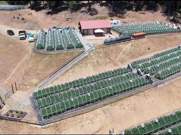 225 Dave Ln, Redway, CA 95560