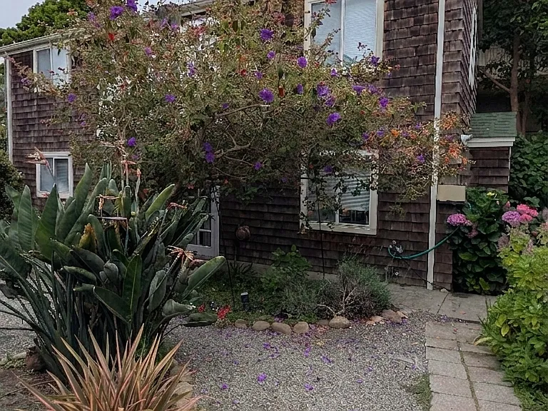 2020 Francisco St — Photo 13