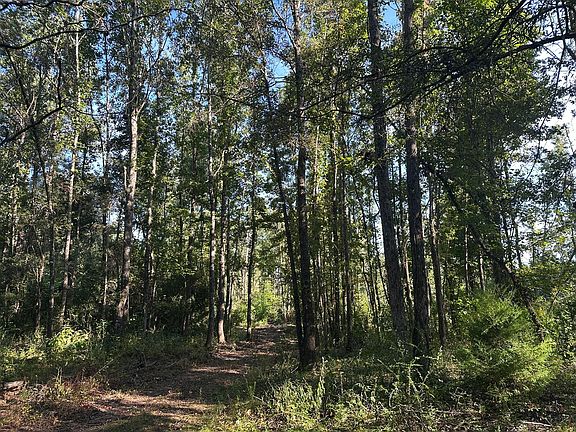 3rd image of Lots 10,11 Bailey Road