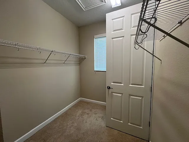 Primary Closet 1