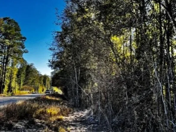 Watkins Rd, Walker, LA 70785