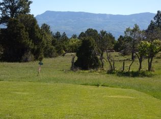 639 Badger Trl N, Ridgway, CO 81432