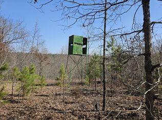 10 Tomahawk Slab Rd, Saint Joe, AR 72675