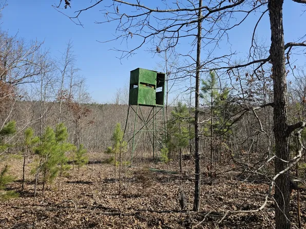 10 Tomahawk Slab Rd, Saint Joe, AR 72675