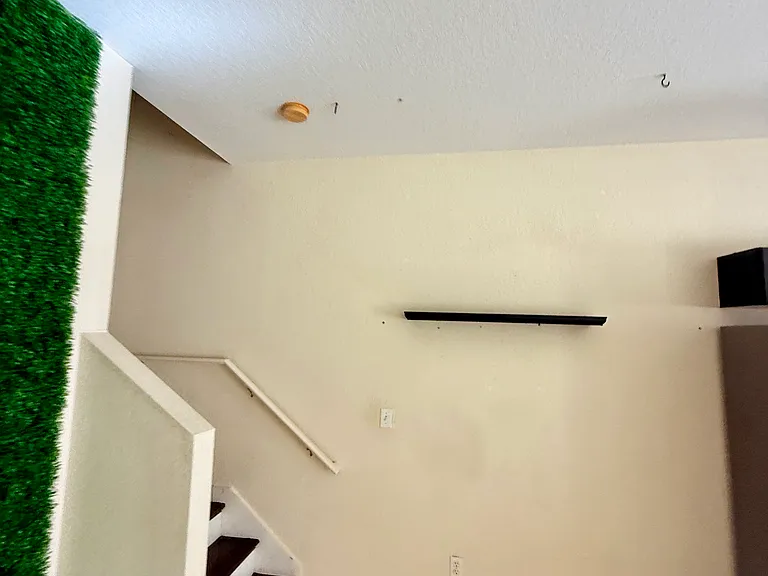 7081 Opal Dr — Photo 5