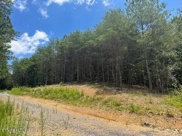 TRACT 5 Owl Hollow Rd SW, Mc Donald, TN 37353