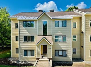 85 E Birch Rd #13, West Wardsboro, VT 05360