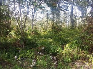 Pahoa Rd LOT 233, Pahoa, HI 96778