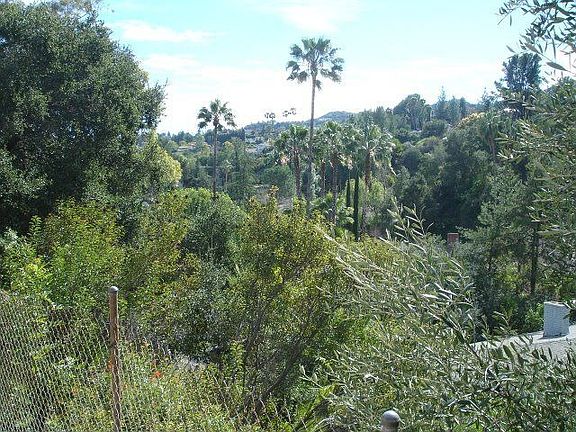 VIEWS from the backyard