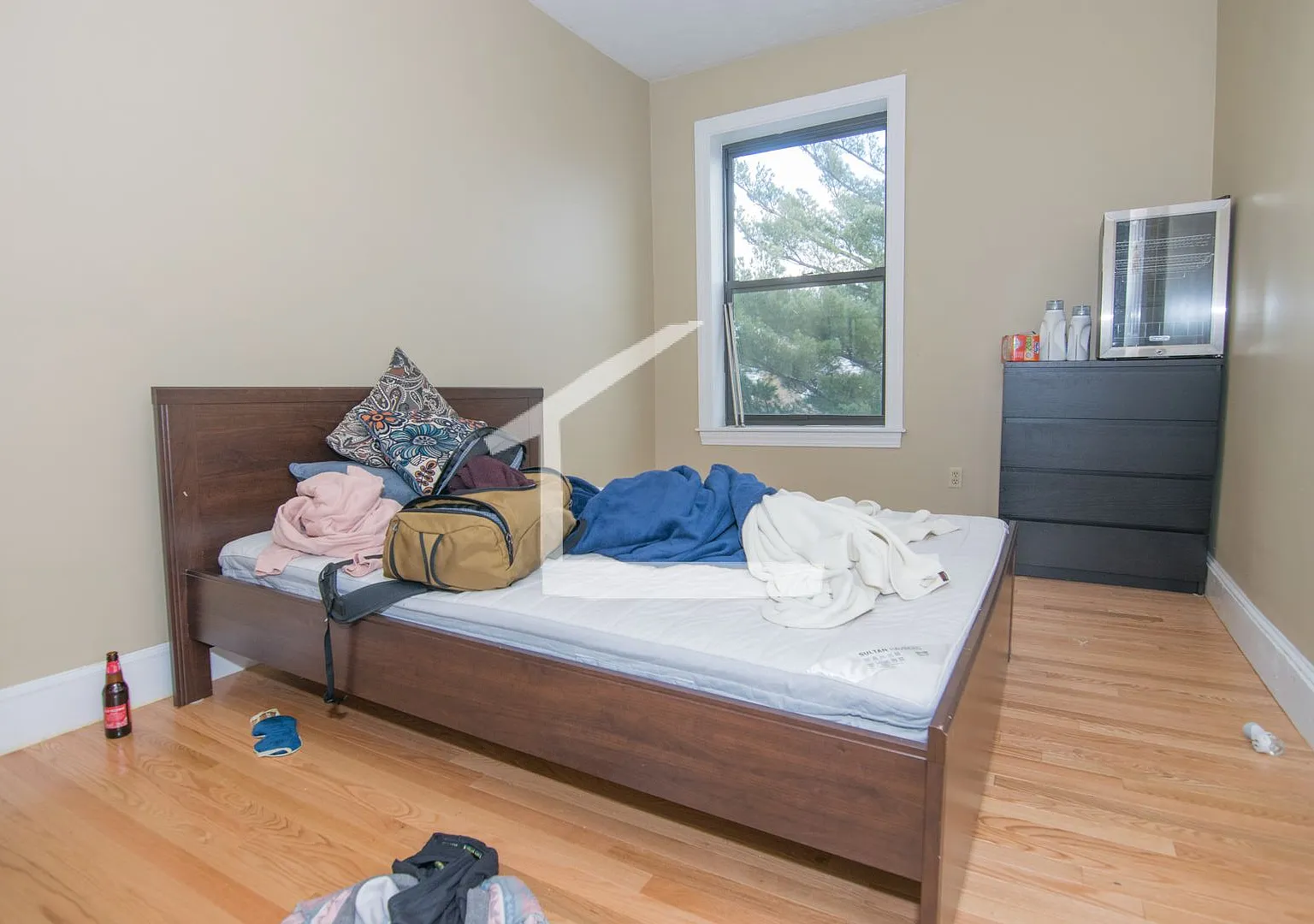 Amazing 4 bed 2 bath in Allston — Photo 4