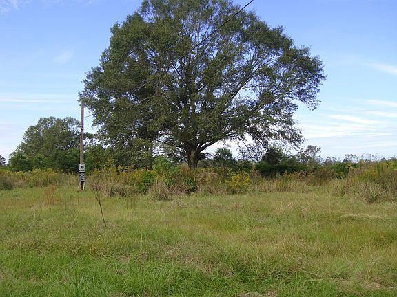 View from Simmons Road