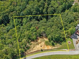 108 Flint Ridge Rd, Rockwood, TN 37854