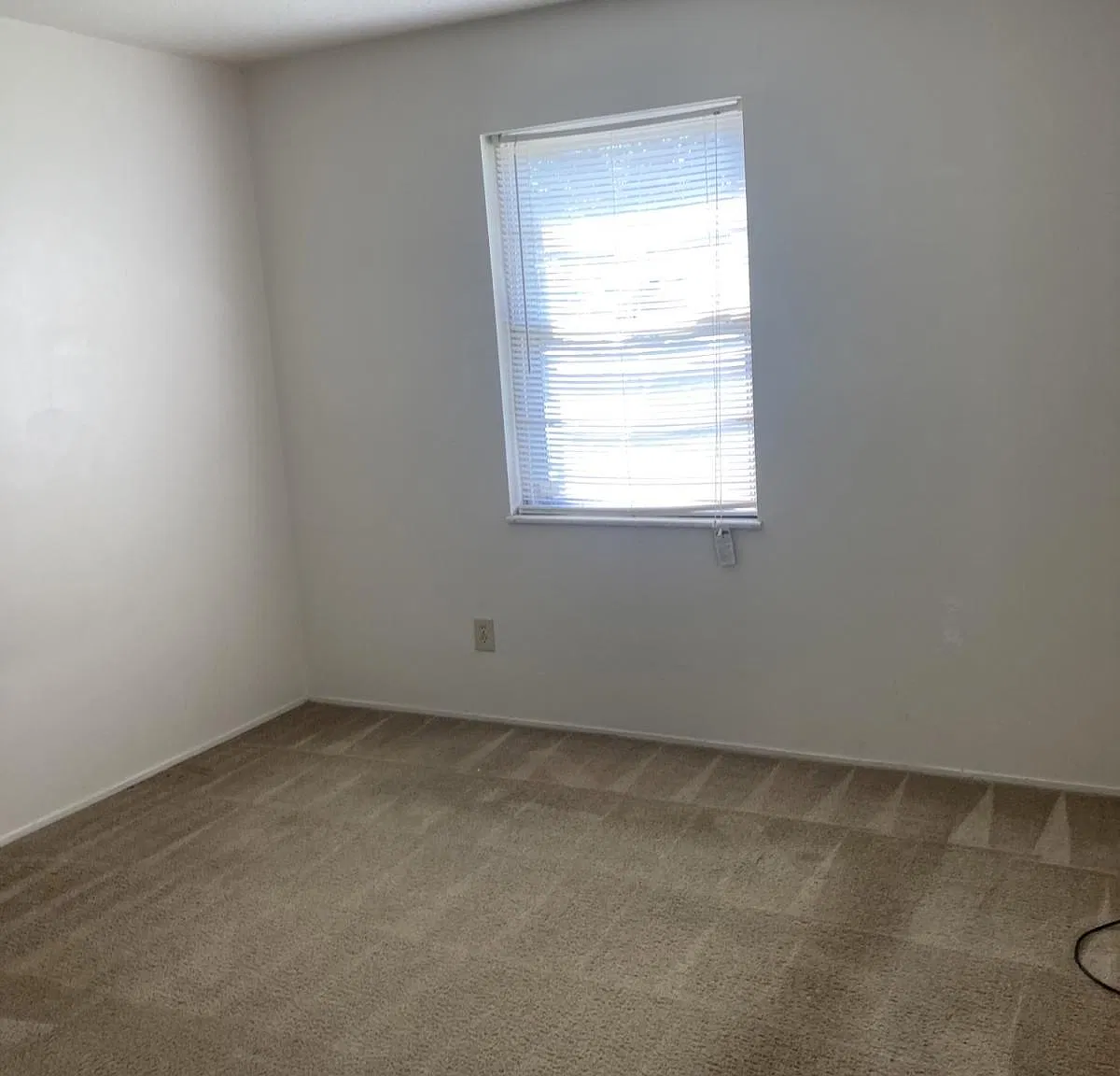 2 bed, $850 — Photo 3