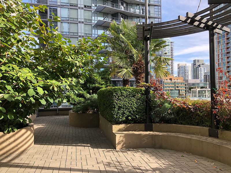 Vancouver Apartment for rent - 1 Bedroom — photo 19