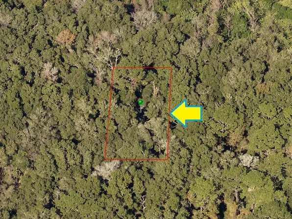 2110 Mistletoe St, Inverness, FL 34453