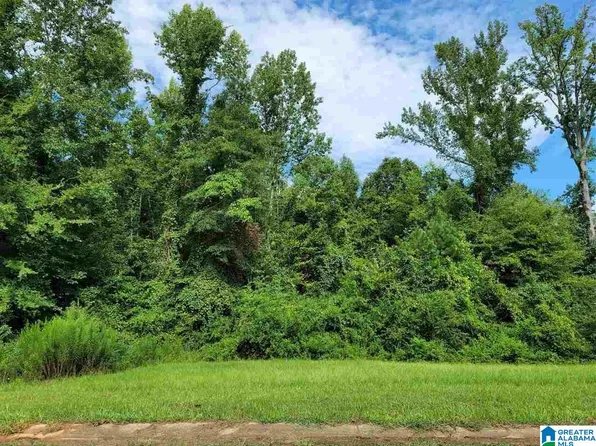 LOT 23 Woodhaven Dr, Pell City, AL 35128
