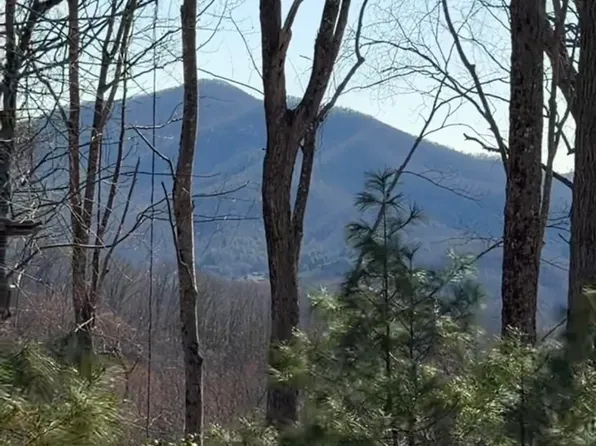 Tbd Heaton Branch Rd, Butler, TN 37640