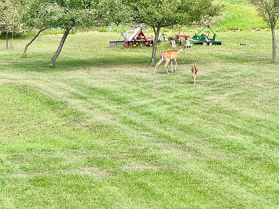 4th image of 5748 W Coon Lake Rd
