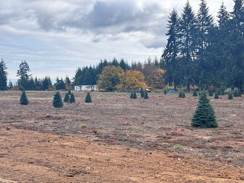 3rd image of 0 Tennessee Road Lot 1