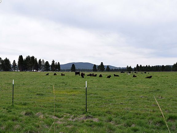 5th image of Skeen Ranch Rd