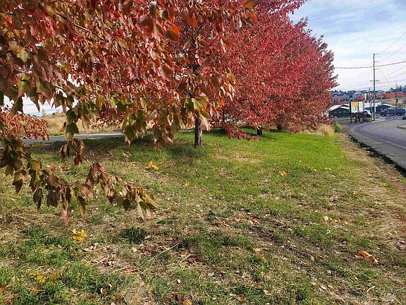 4th image of 502 W Palouse River Dr