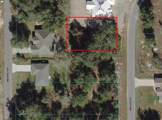 0 Malauka Run #30-32, Ocklawaha, FL 32179