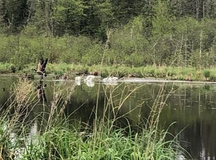 Near Fire Tower Rd #40A, Watersmeet, MI 49969