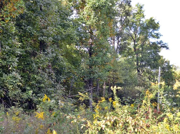 LOT-16B Overlook Trl, Spring City, TN 37381