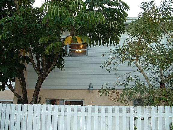 Back View