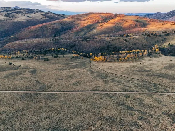 Lot 409 Brophy Drive, Fort Garland, CO 81133