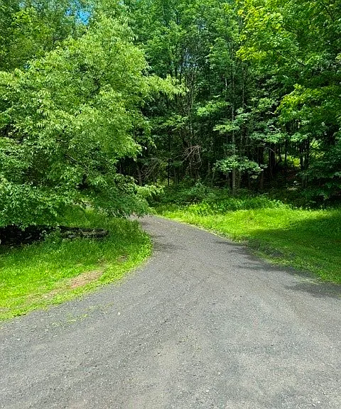 228 Staab Rd — Photo 30