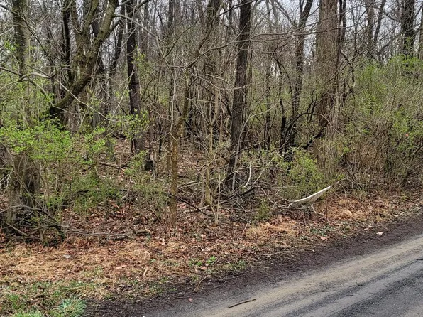 0 Sam Mason Rd, Bunker Hill, WV 25413