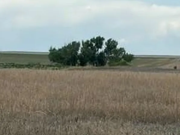 Peoria Crossing Rd, Bennett, CO 80102