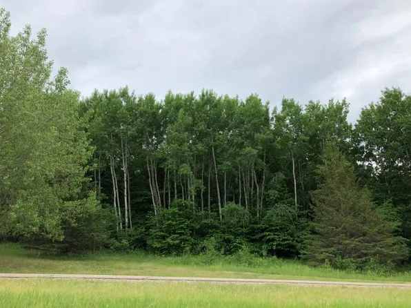 27945 Timber Lane Rd, Paynesville, MN 56362