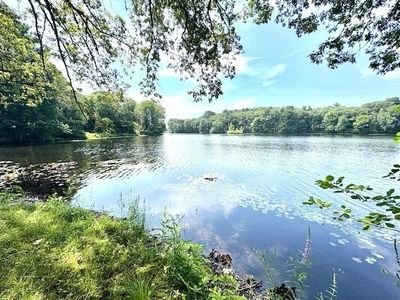48 Fenelon Rd, Framingham, MA, 01702
