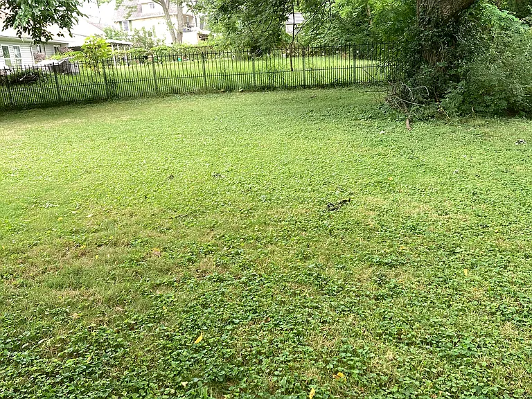 168 Graham Rd — Photo 21