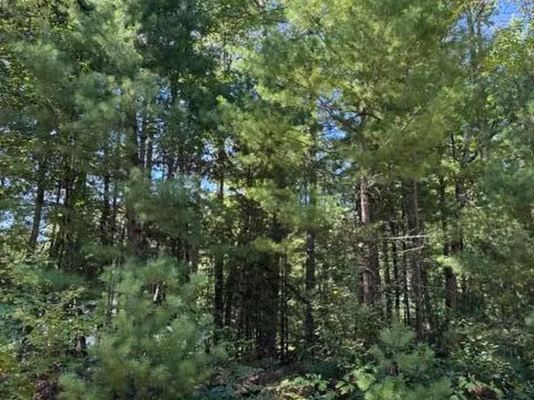 V/l S Pershing Rd, Baldwin, MI 49304