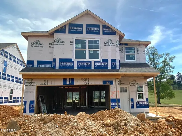 167 Wisteria Dr, Bluff City, TN 37618