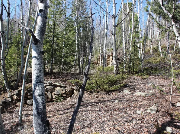 00 Spruce Street, Central City, CO 80427