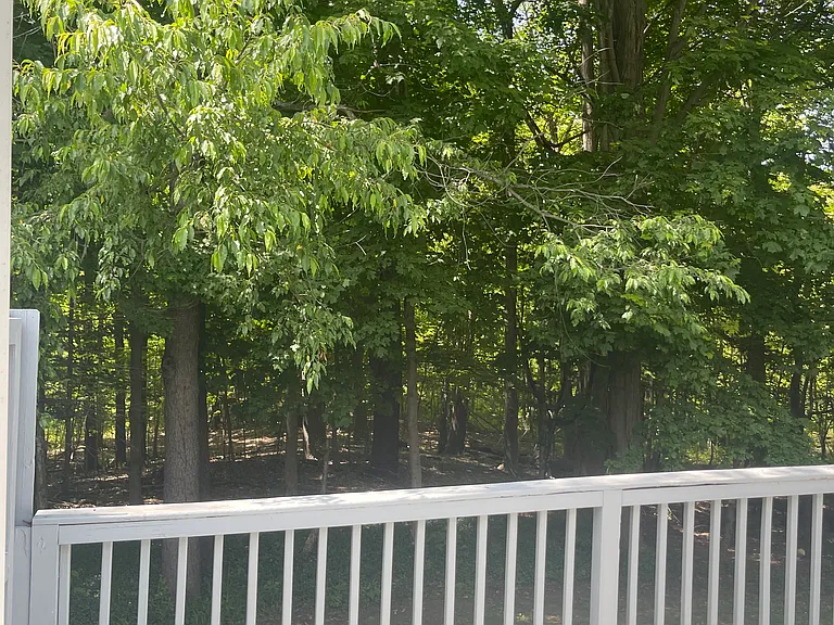 97 Downey Dr — Photo 25