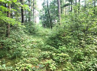 Garbow Rd, Howard city, MI 49329