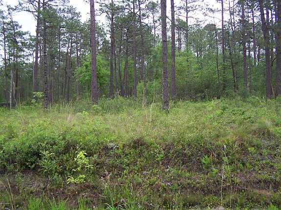 5th image of Lot 39 Drake Road LOT L-39