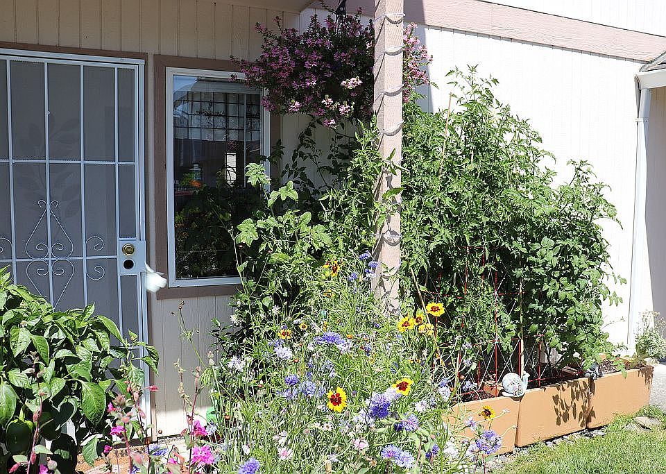 Beautiful sunny entry porch