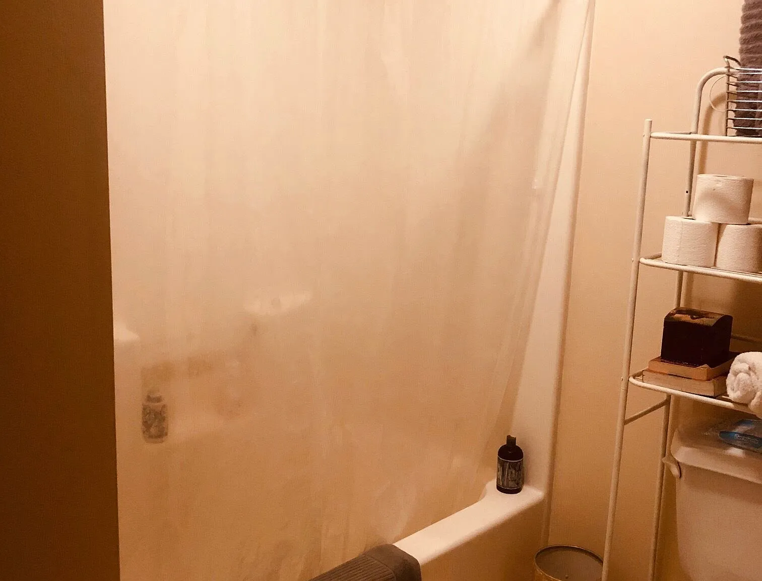 3 bed, 1500 sqft, $2,350 — Photo 3