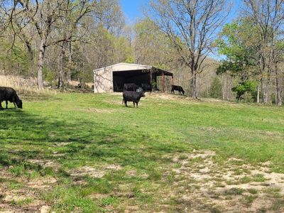 1002 County Road 537, Tecumseh, MO, 65760