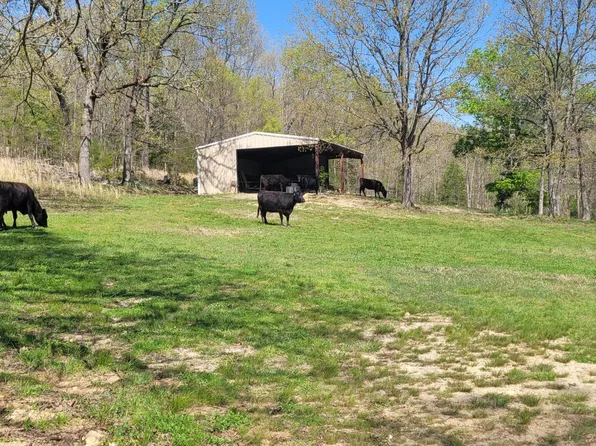 1002 County Road 537, Tecumseh, MO 65760