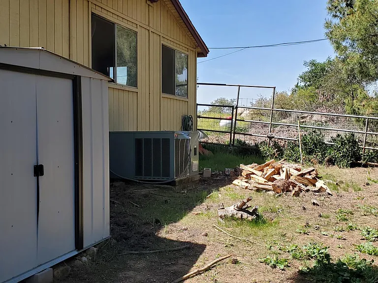 Shed and backyard